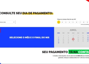 Programa de Transferência de Renda, benefício social