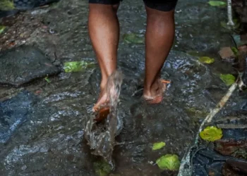 risco de doenças infecciosas, aumento da incidência de doenças, doenças transmitidas;