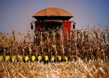 programa, de safra, plano, agrícola;