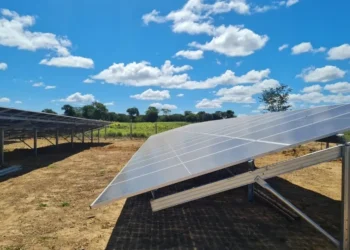 ecológico, responsável, verde;