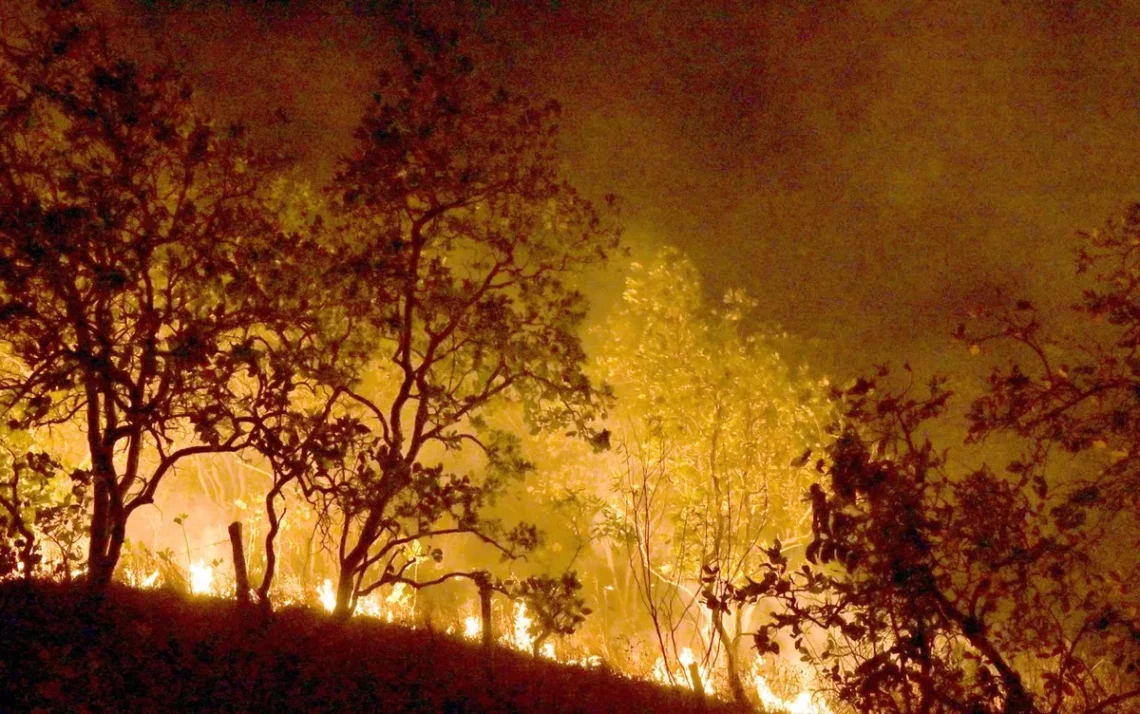 incêndios, focos de calor, chamas;