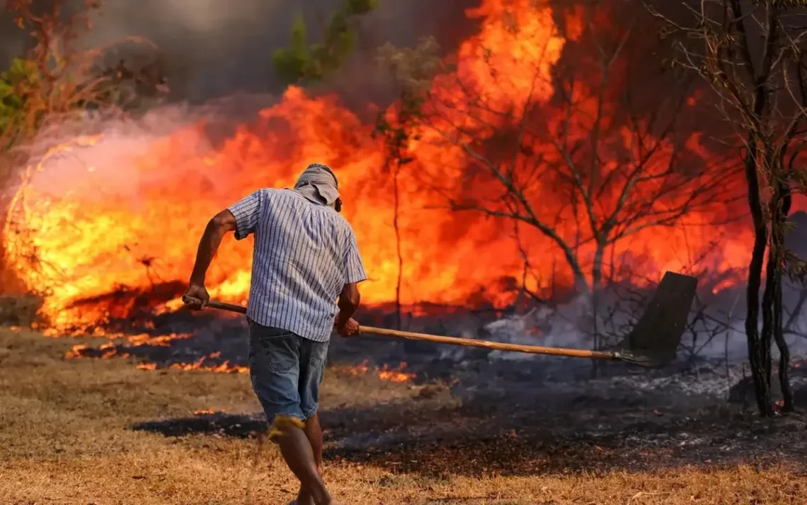 queimadas, focos, de incêndio;