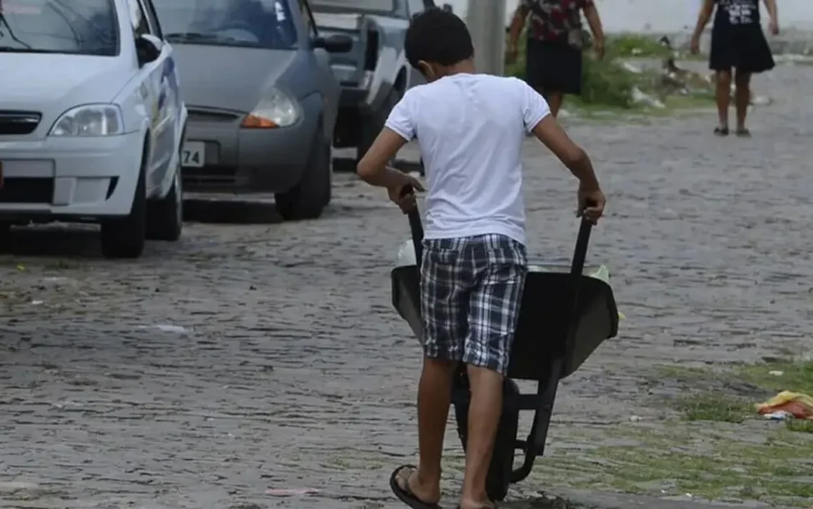 emprego, serviço, atividade;