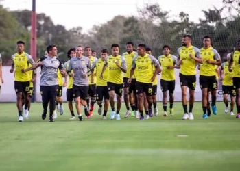 treinamentos, sessões, de treino, práticas;